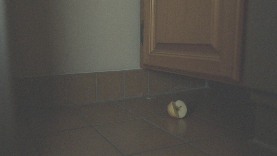 Jakie zagrożenia zdrowotne niesie obecność małych karaluchów?